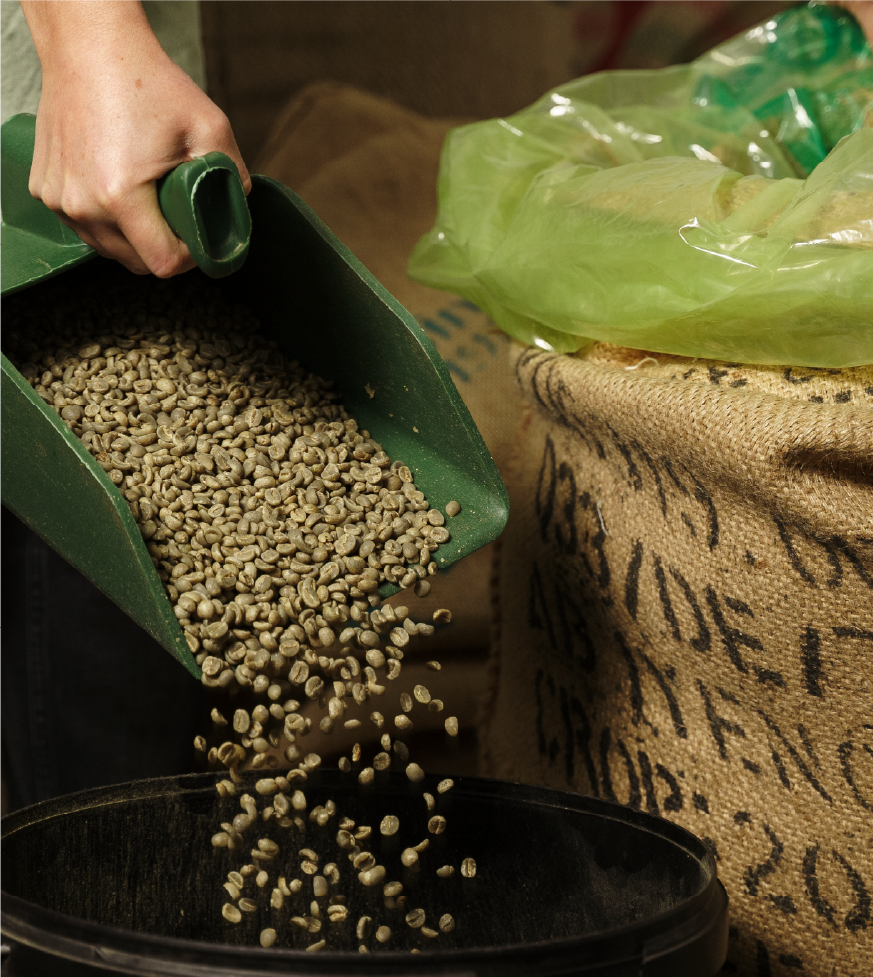 From Farm to Global Cup, Understanding India’s Coffee Export Ecosystem